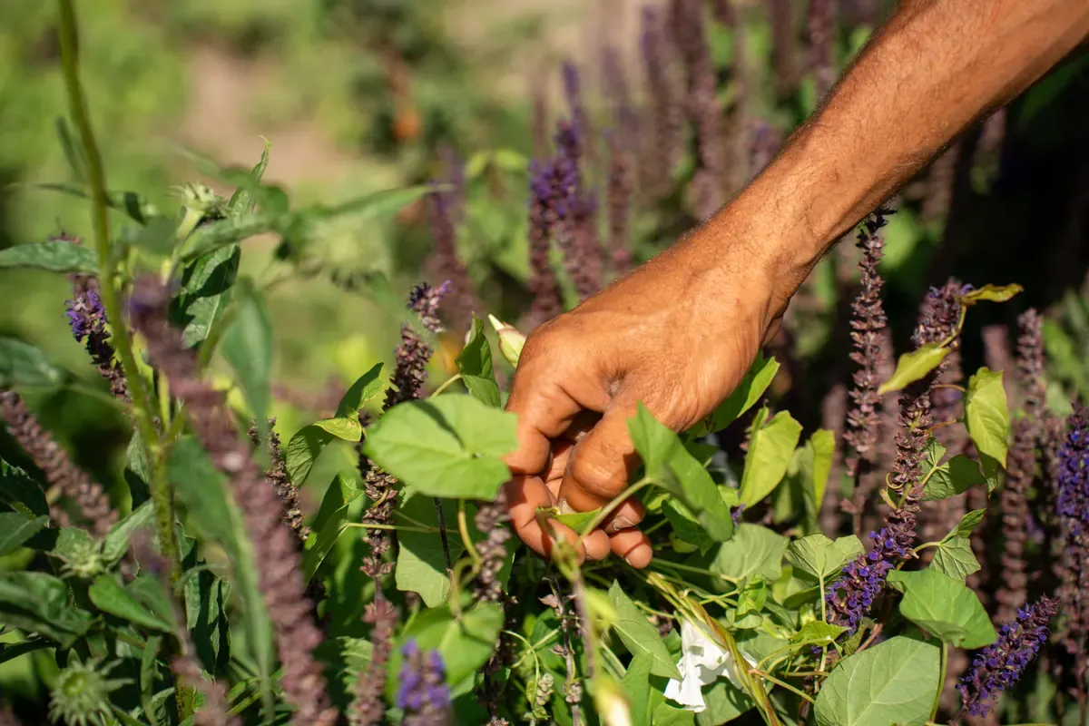 BBL in het groen: werken én leren met salaris
