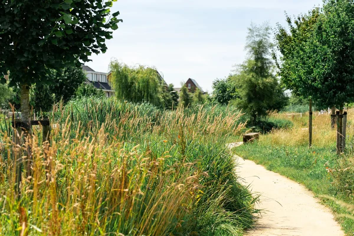 Groenvoorziening in de winter: wat gebeurt er buiten het seizoen?
